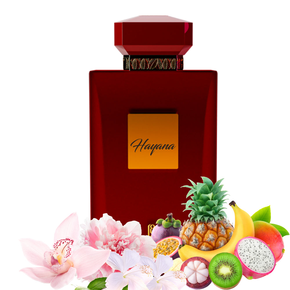 Hayana Ahmed al Maghribi